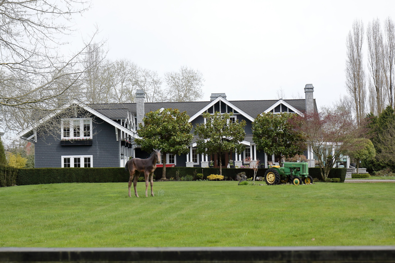 Illustration for article titled Pics from the (Stable)side: 2018-04-15 to Southlands
